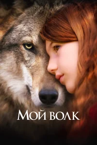 M0й в0лk
